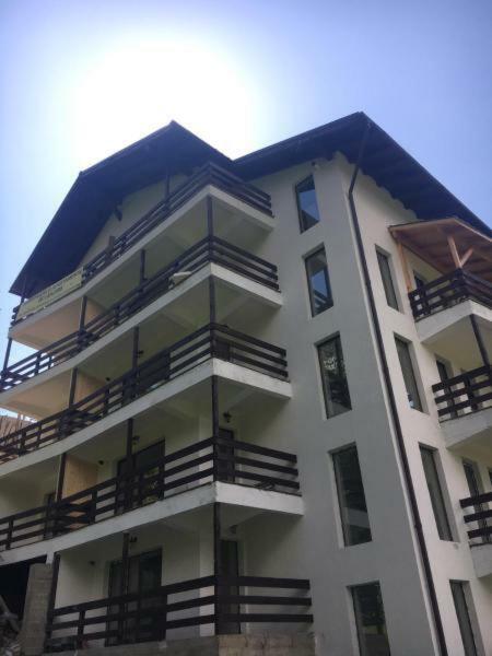 Nature House Predeal Exteriér fotografie
